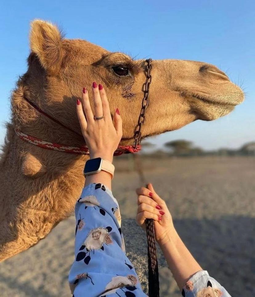 Best Desert Camp In Jaisalmer Red Velvet エクステリア 写真